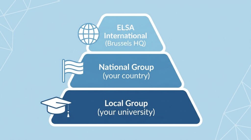 European Law Students Association: What ELSA Really Is european law students association